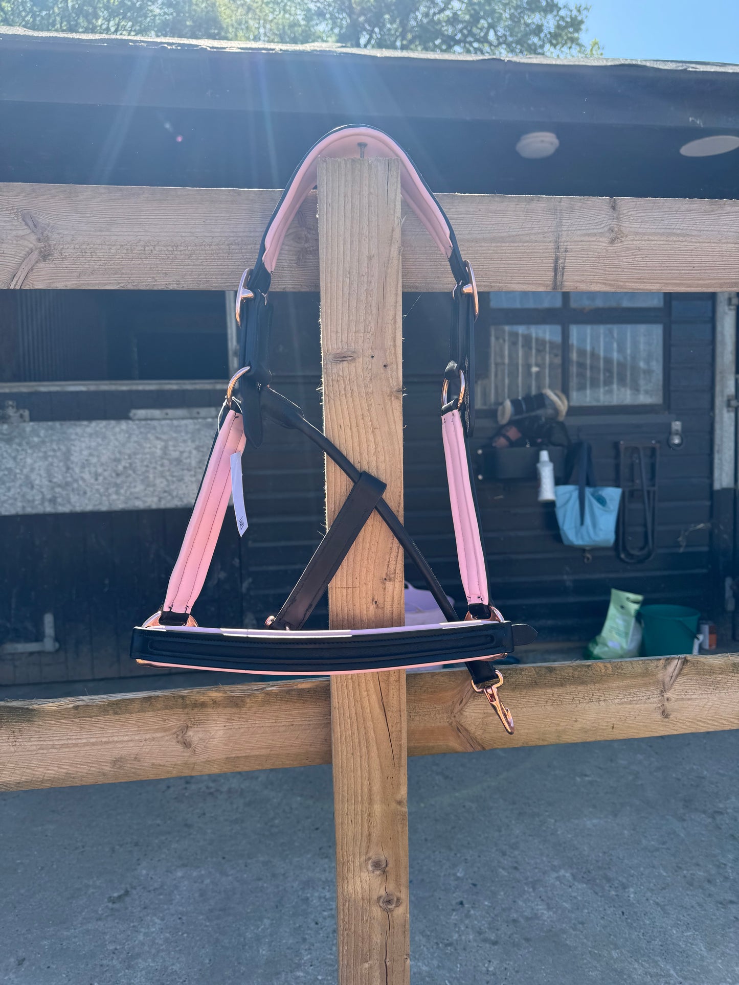 Beautiful black leather head collar with pale pink padding & rose gold buckles.