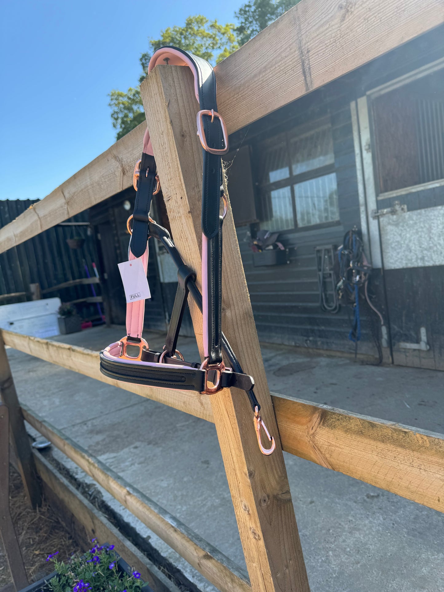 Beautiful black leather head collar with pale pink padding & rose gold buckles.