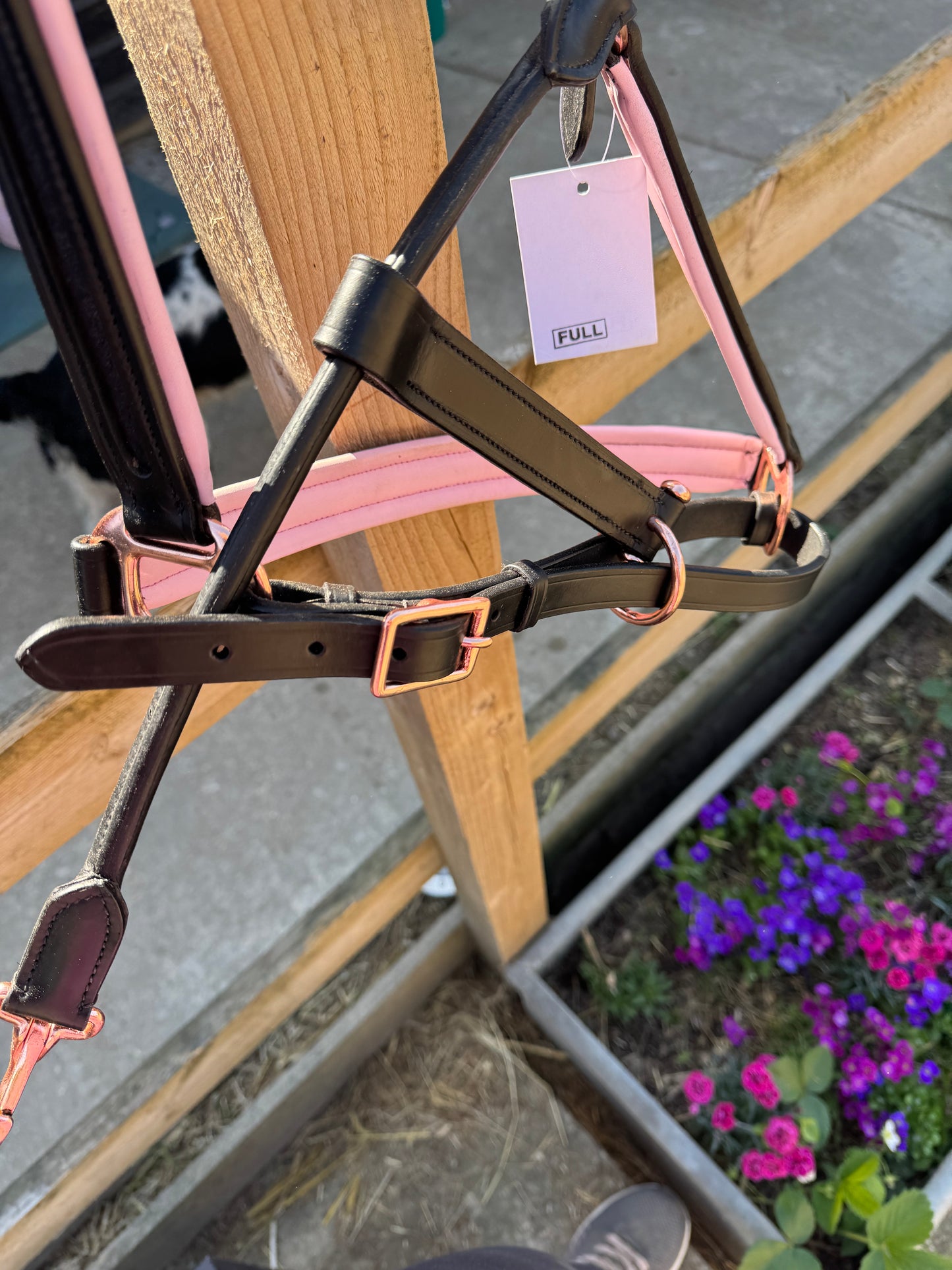 Beautiful black leather head collar with pale pink padding & rose gold buckles.