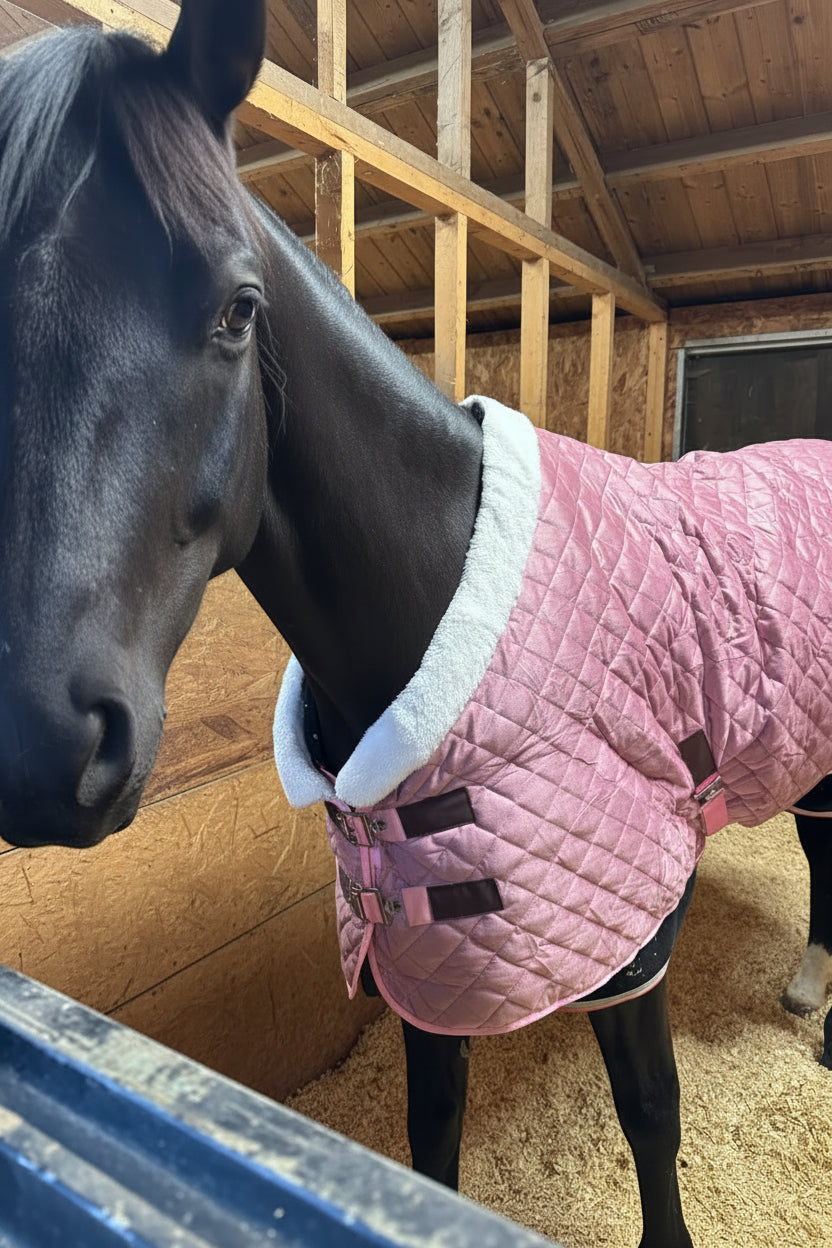 Stunning rose pink velvet stable rugs